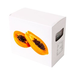 PULPA DE PAPAYA 100GR x 10 UNID.
